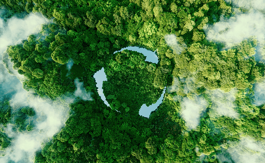 sustainabilitylsd sustainabilitylsd Data GUARD: Legacy System Decommissioning Tool by Auritas