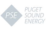 Puget Sound Energy Logo 100px 3 Data Governance Assessment Landing Page