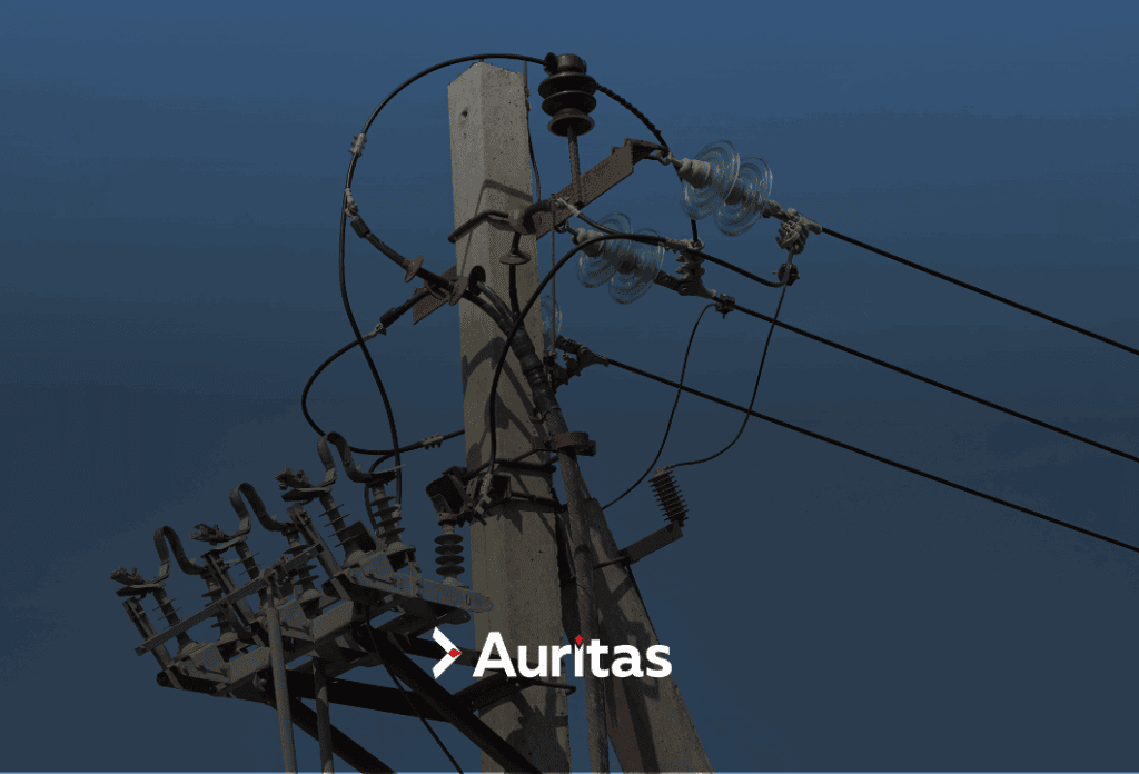 CenterPoint Energy Inc., utilities company, used data archiving to help with faster issue resolution, reduced data volume, and improved customer satisfaction by 10%.
