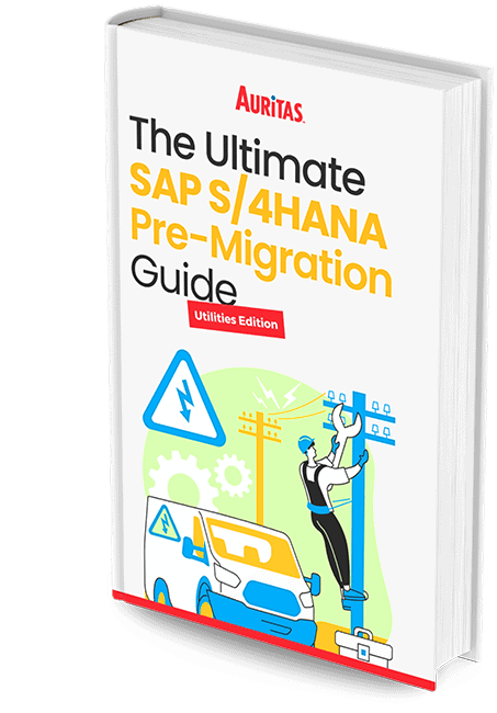 Ebook Mockup Final2 Utilities Edition: The Ultimate SAP S/4HANA Pre-Migration Guide