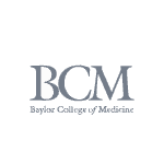 Arch Logos Illustrator Files Recovered Baylor {New} Data Archiving (ILM)