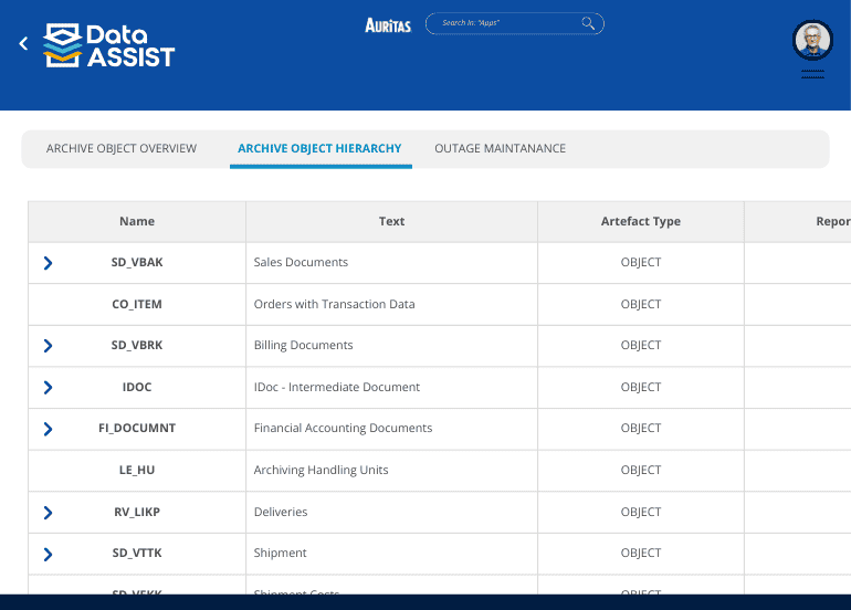 Data Assist Page on Archive Object Heirarchy: SAP Data Archiving